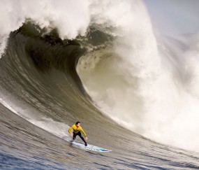 开云体育在线-双城记，英超争冠焦点战与猛龙关键突围，竞技之夜的殊途同归