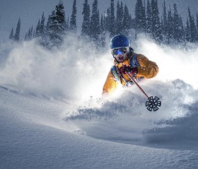 开云在线赛事平台-赛道与球场，速度与节奏的双重奏