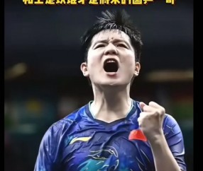 开云体育中国官网-波兰乒乓球队绝地反击韩国乒乓球队，许昕打破历史纪录