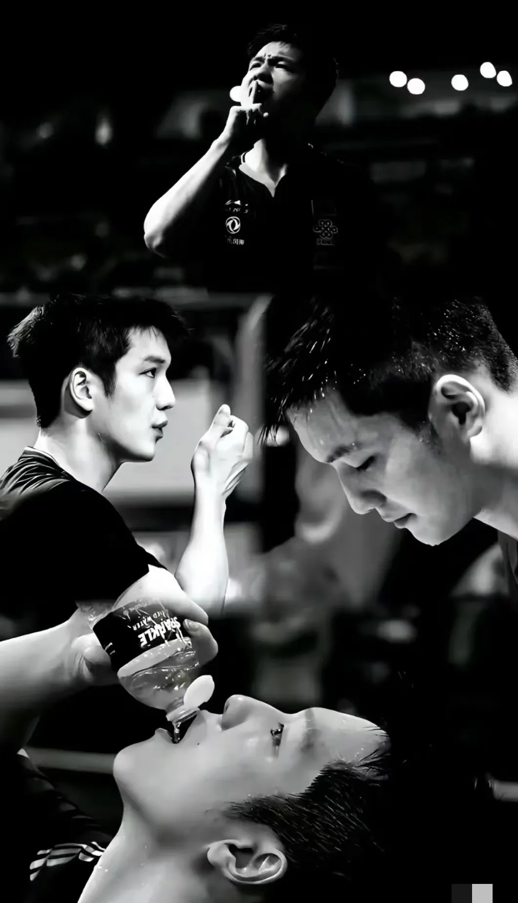 韩国队绝杀德国队,樊振东扛起全队 韩国队绝杀德国队,樊振东扛起全队