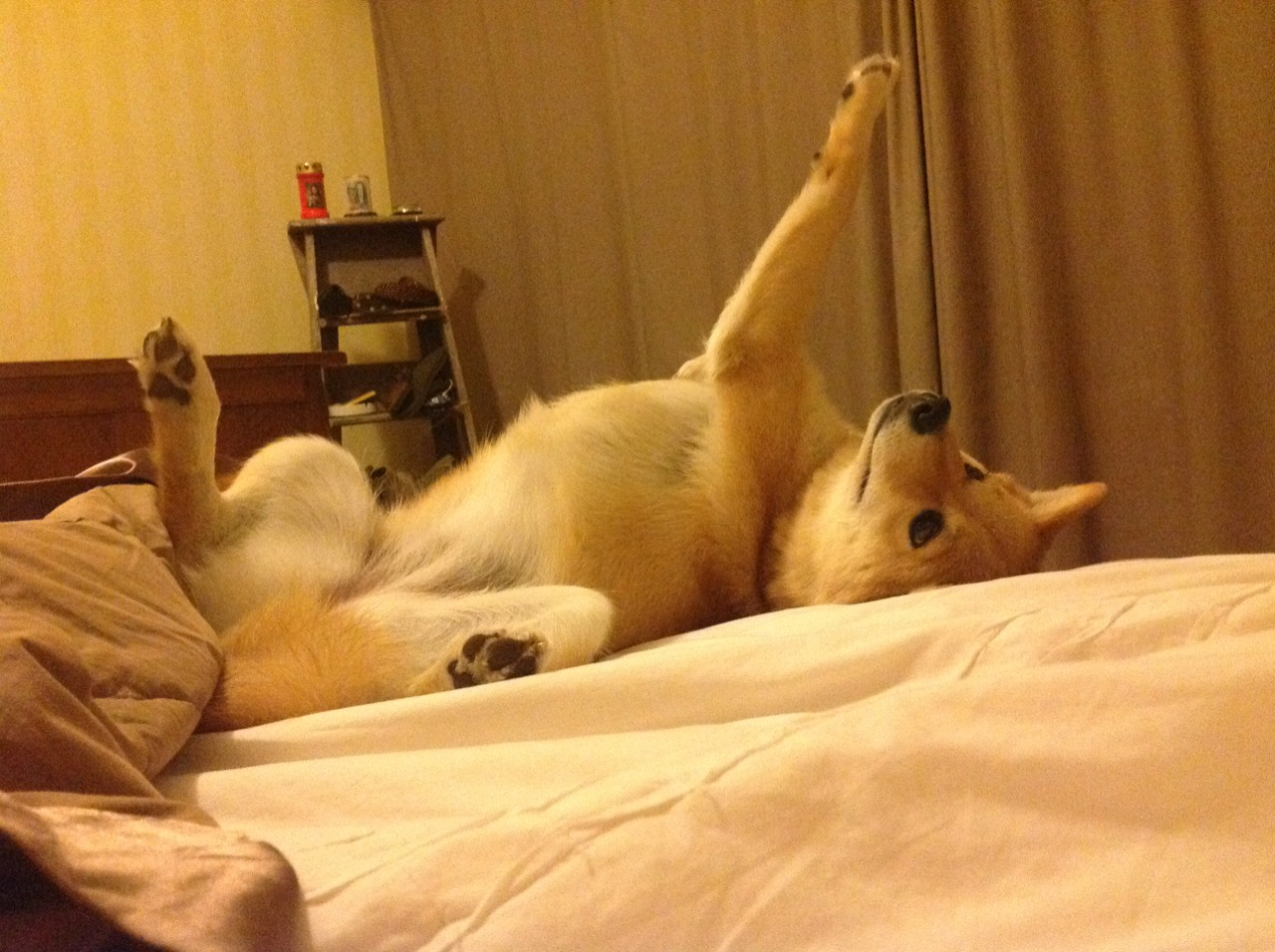 锡安关键一击定乾坤,尼克斯收割马刺背后的战术革命与新生代主宰