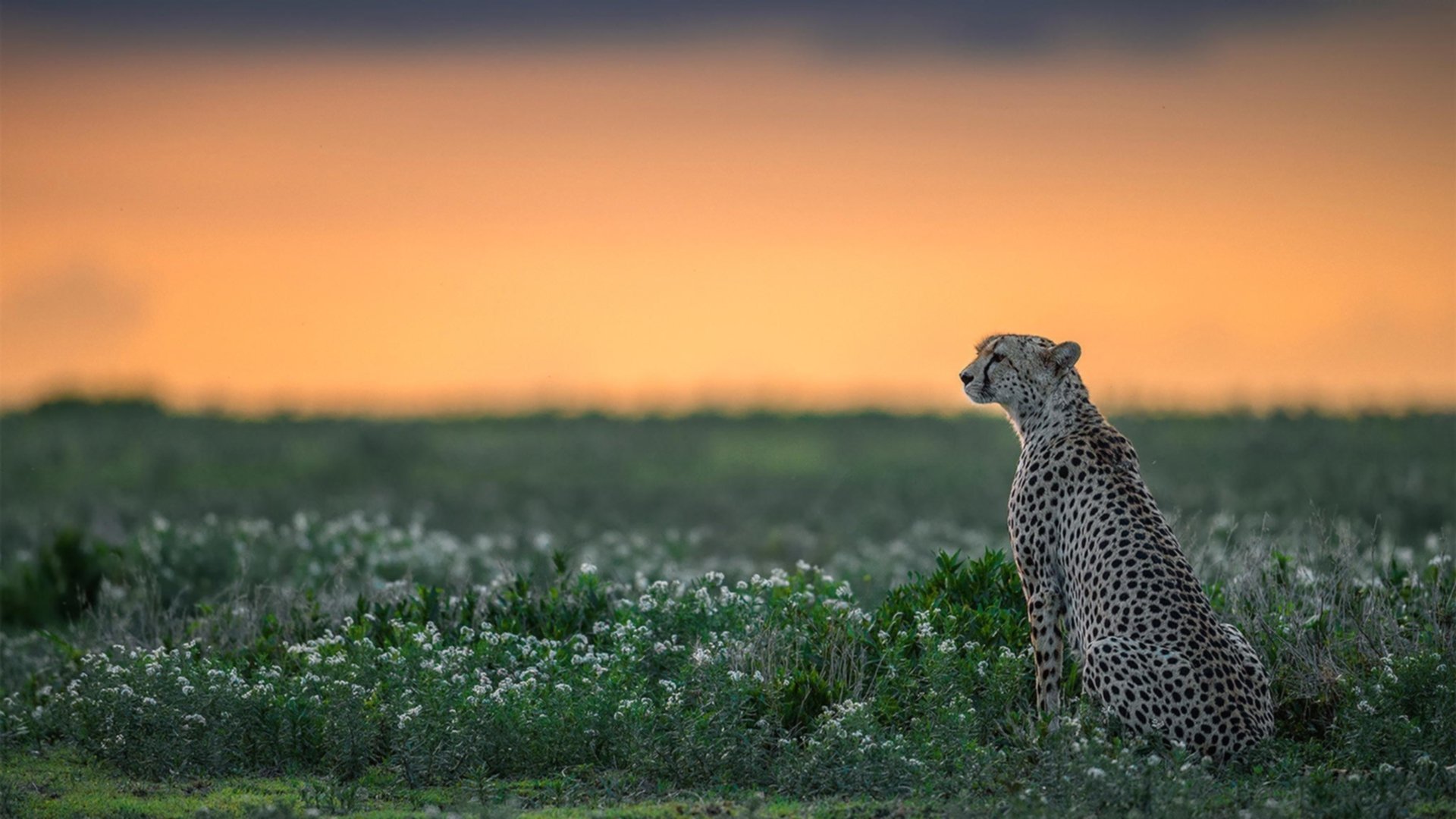 拉什福德爆发,法国强行终结克罗地亚,一场新旧势力的激烈碰撞