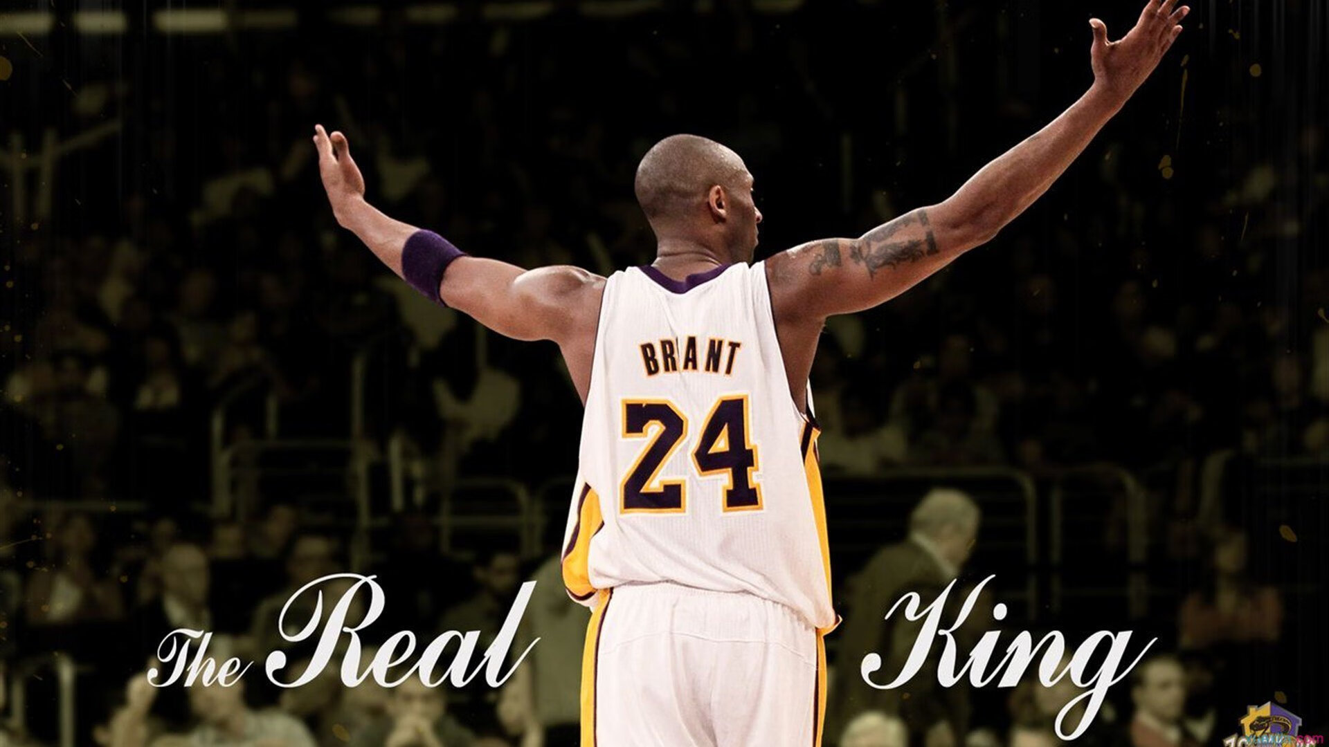 当杰伦格林成为无解代码，吉林队如何掀翻爵士的战术密码